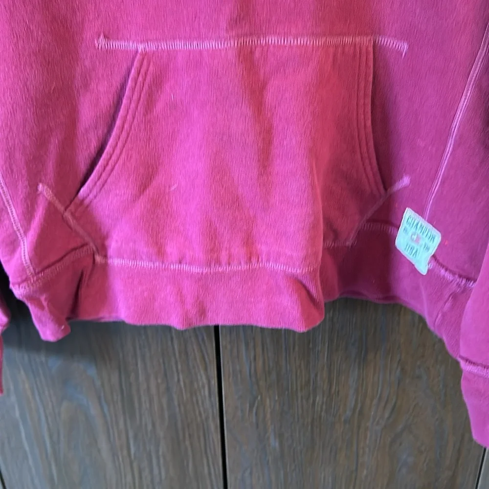 Champion hooded sweatshirt in size M - Picture 8 of 9
